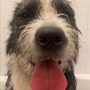 Meet your Posher, Isabelle